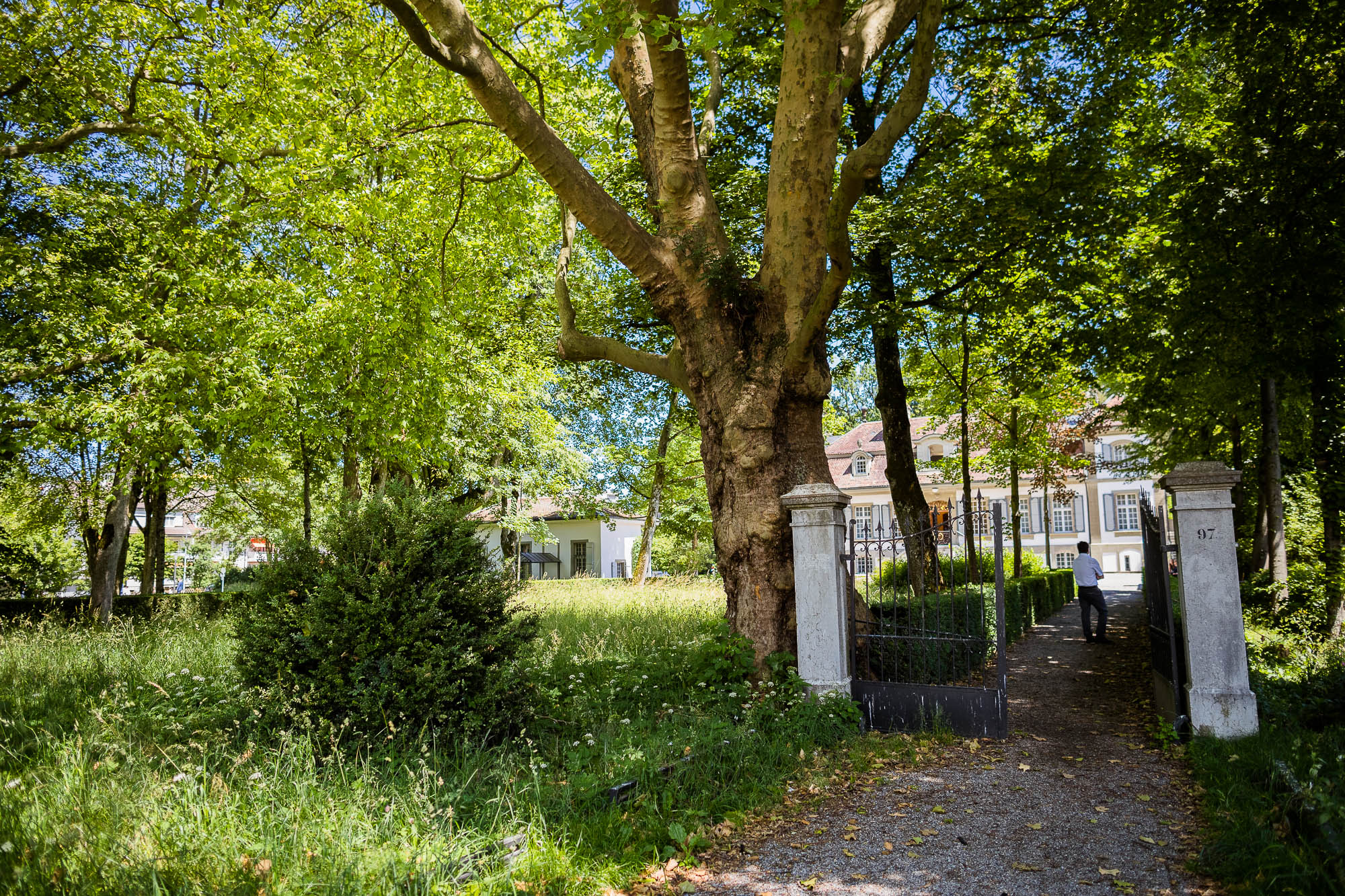 Export x3 1DX27961 Hochzeit 2020 Claudia & Marco